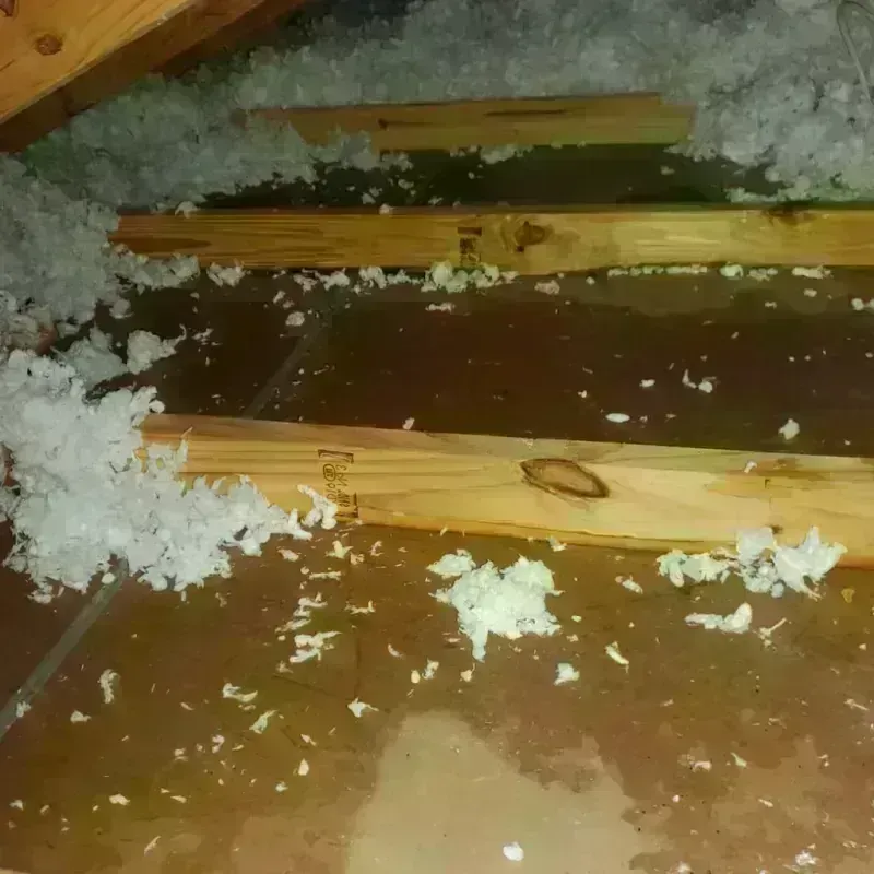 Attic Water Damage in Henry County, KY